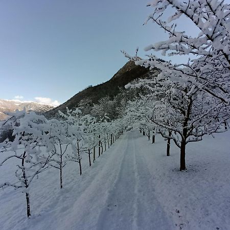 Maso Daue Villa Marter Exteriör bild