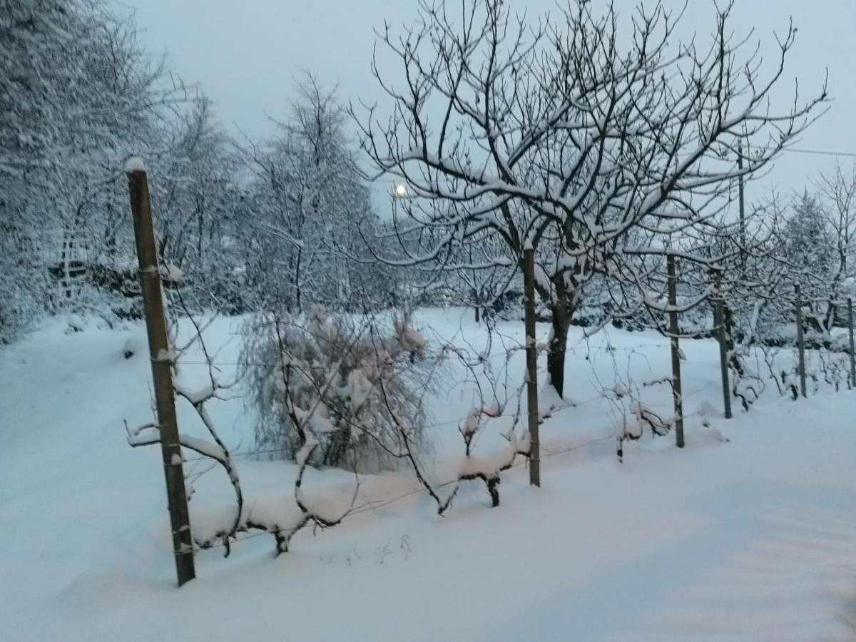 Maso Daue Villa Marter Exteriör bild