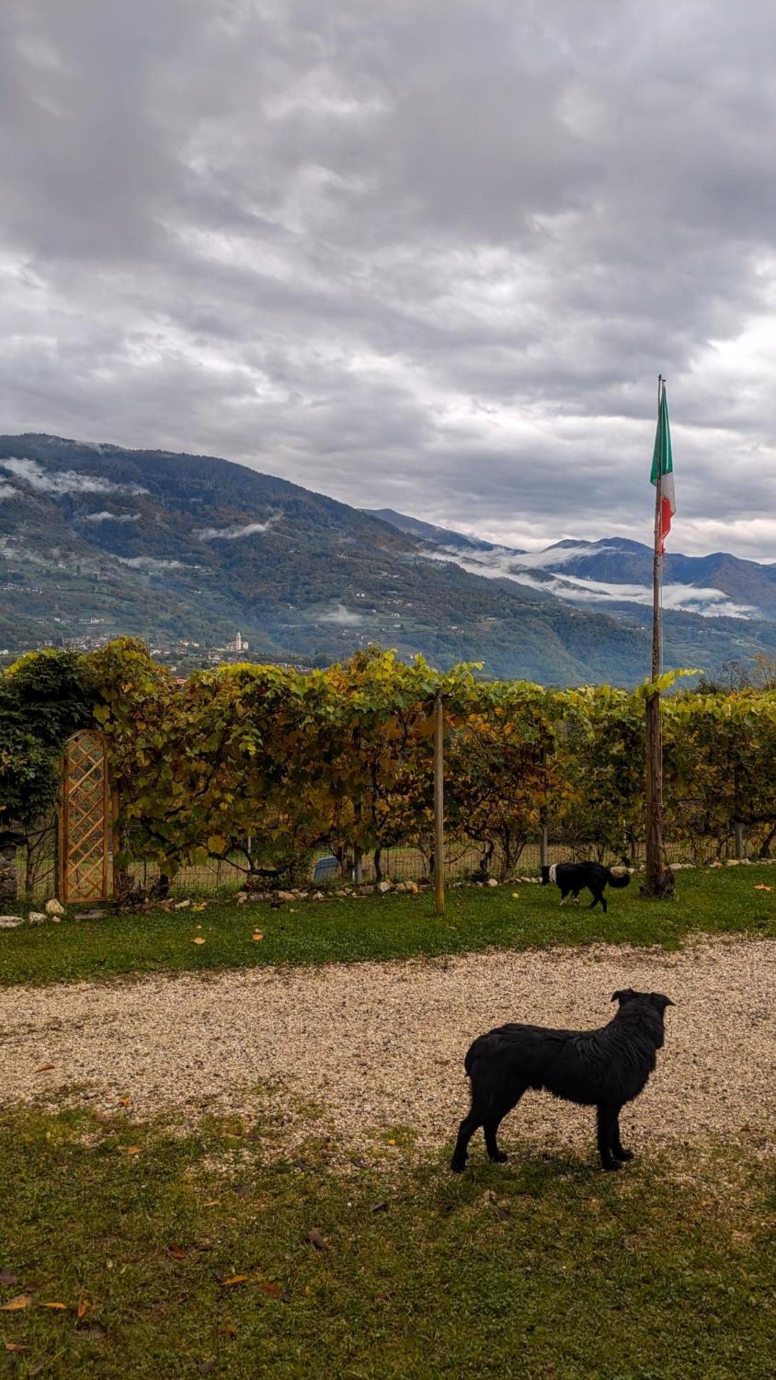 Maso Daue Villa Marter Exteriör bild