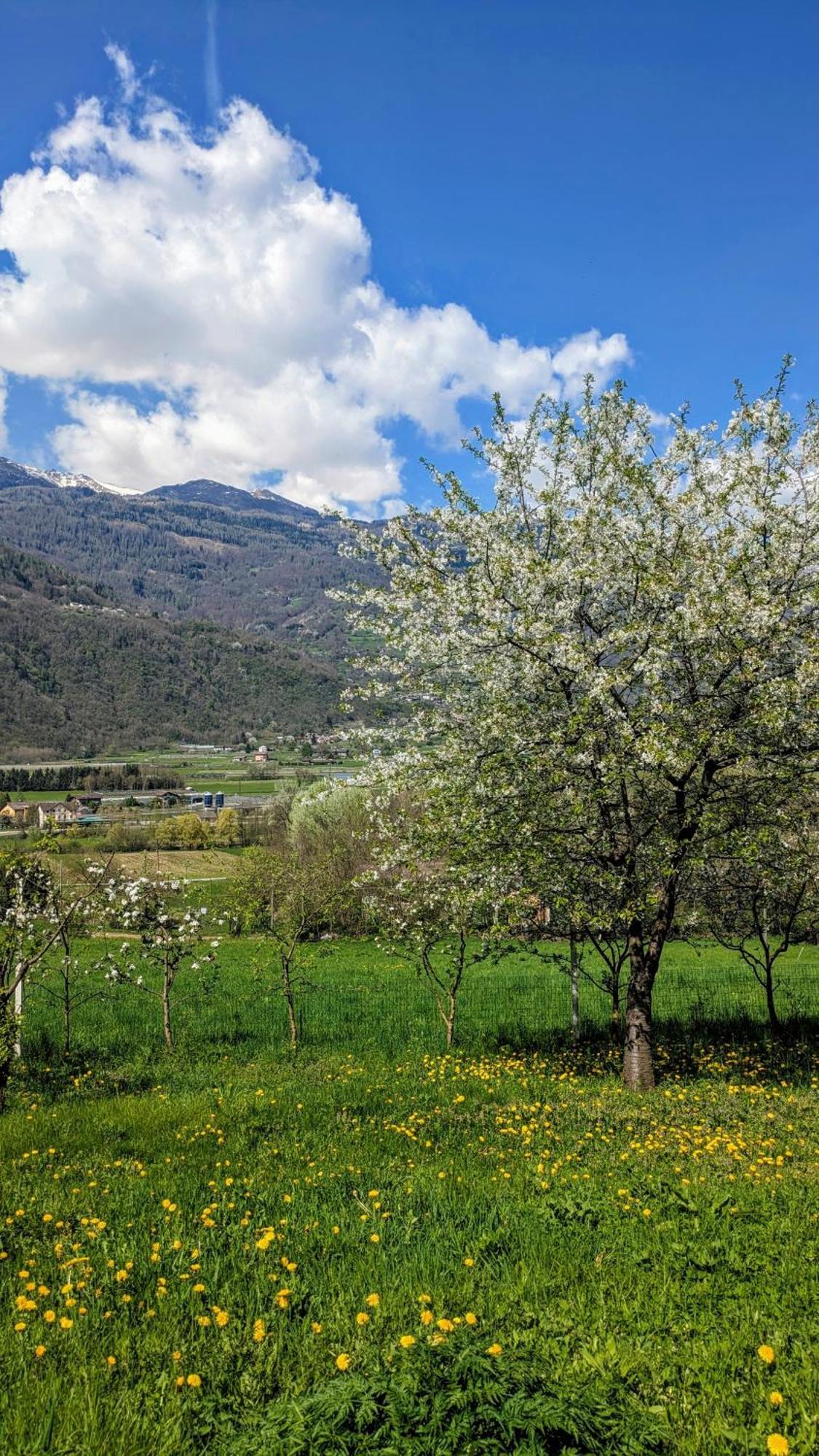 Maso Daue Villa Marter Exteriör bild